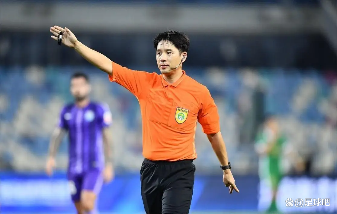 国内足球联赛独特魅力，裁判风波不停歇的简单介绍