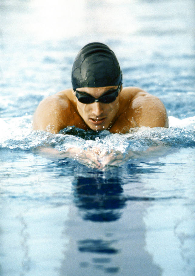 世俱杯决赛-包含南非游泳健将力压群雄，夺得金牌的词条