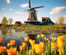 世俱杯-荷兰挑战瑞典队，争夺晋级席位的激动战役