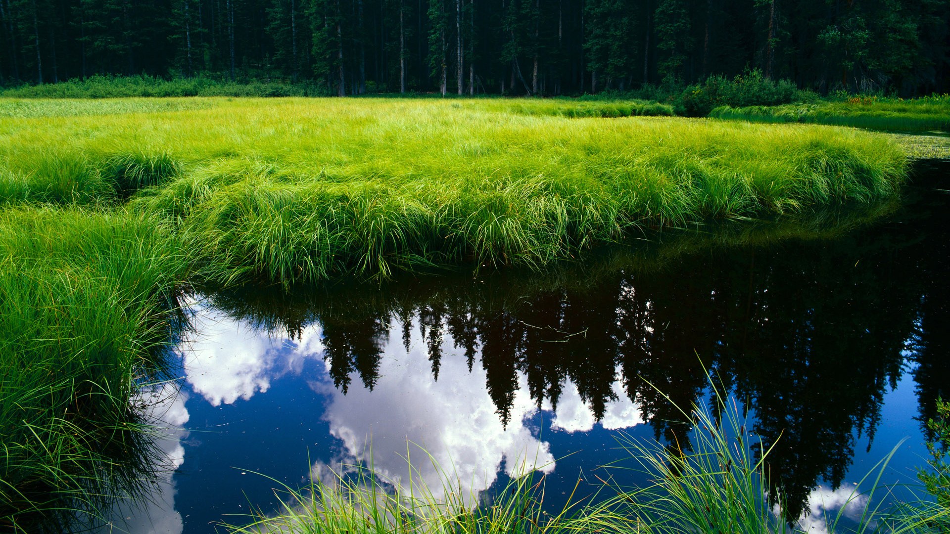 世俱杯直播-孤星独舞与光刃出鞘，米切尔50分神迹难敌太阳决胜时刻的集体锋芒