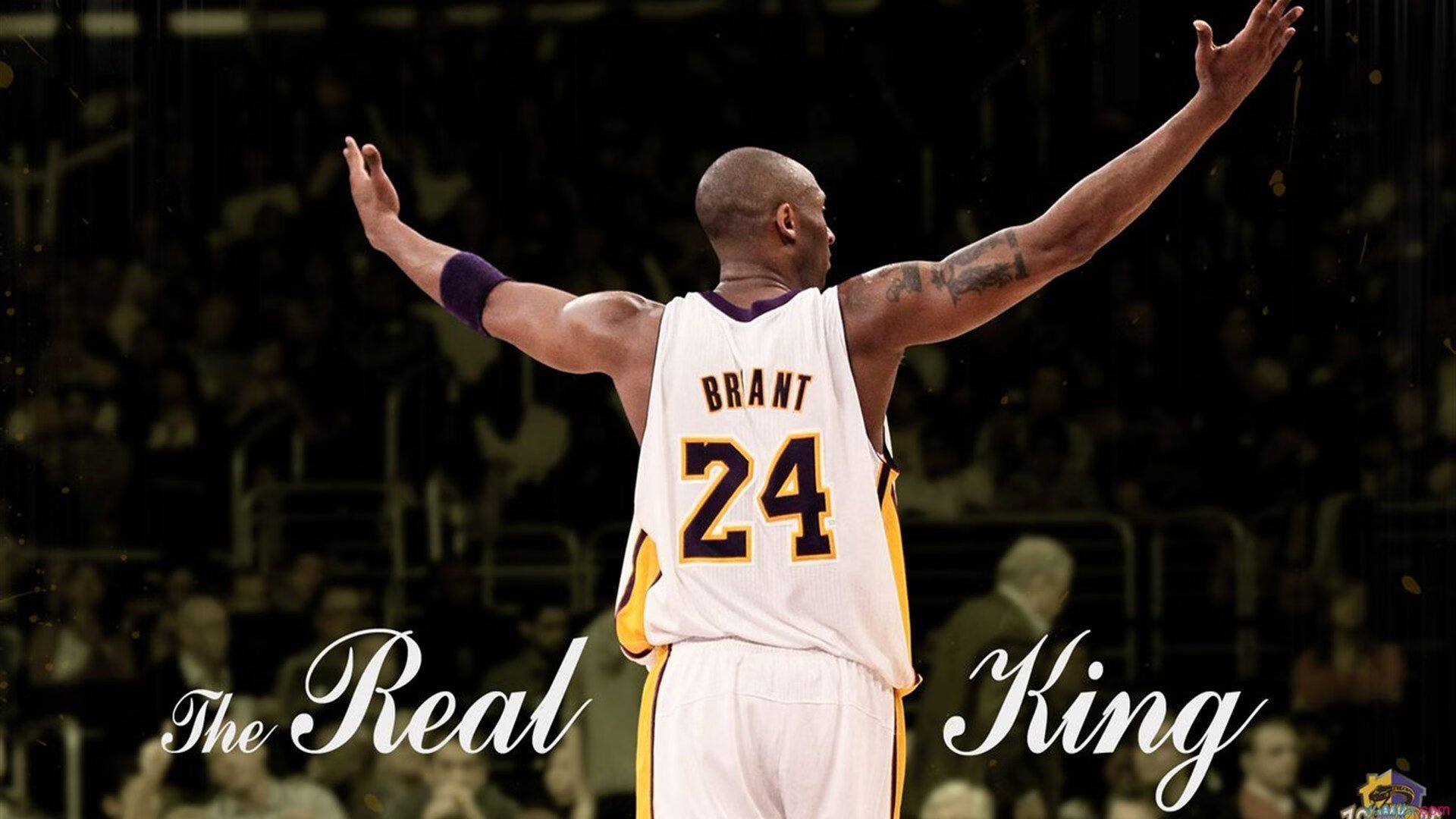 世俱杯赛程-2026世界杯之夜，约基奇的攻防转换核心传奇