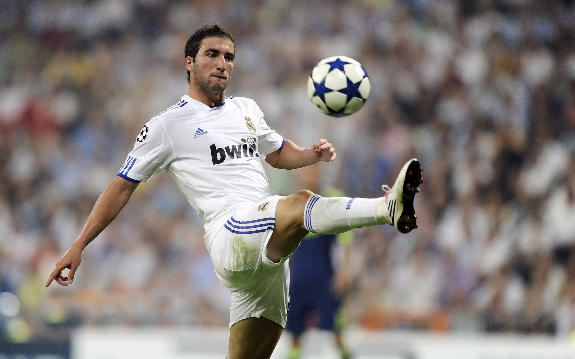 银翼坠落，赤龙崛起，周冠宇驾驶哈斯战车统治银石，谱写F1新章