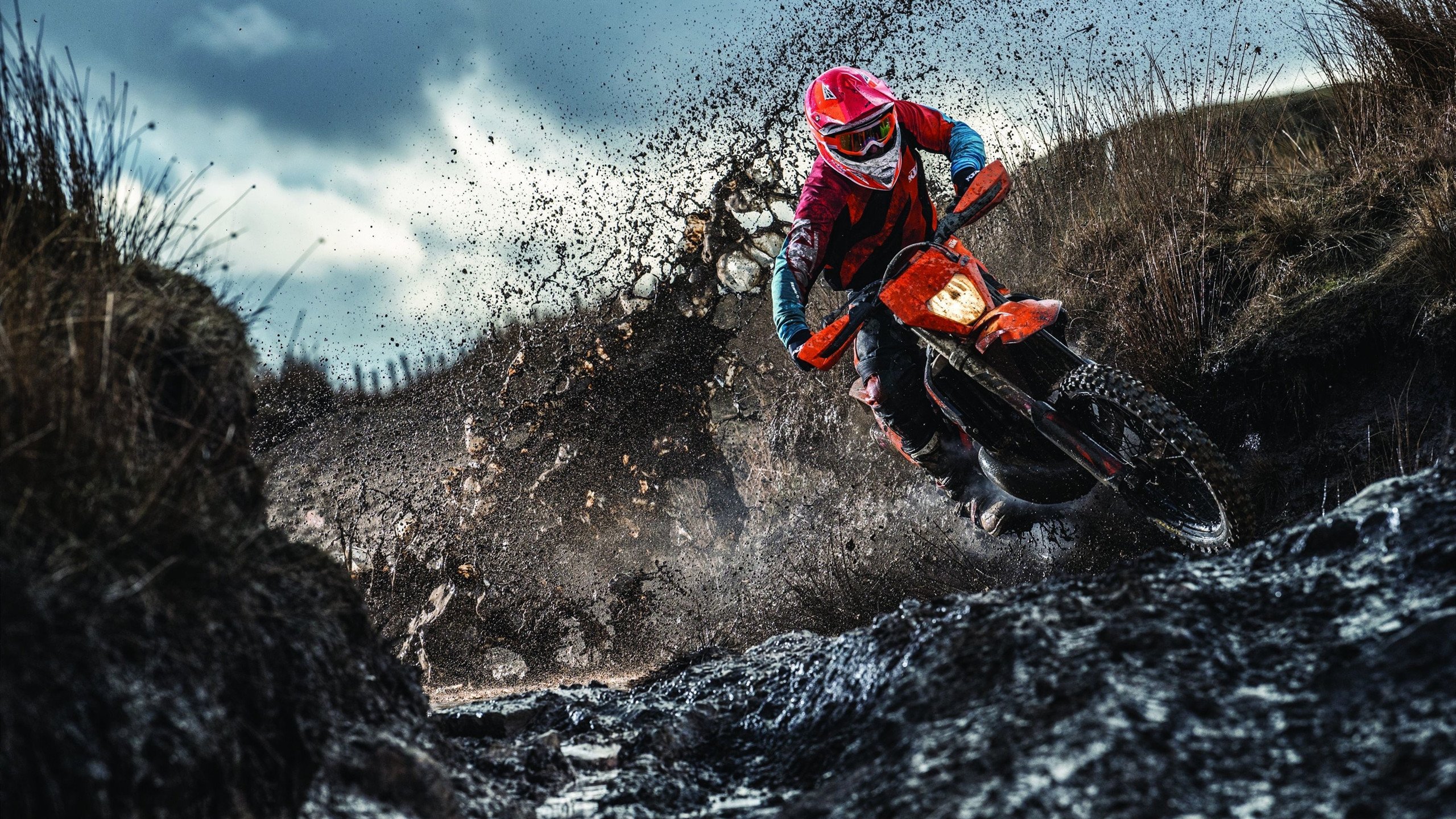 完胜与高光,东京奥运赛场上的两重奏